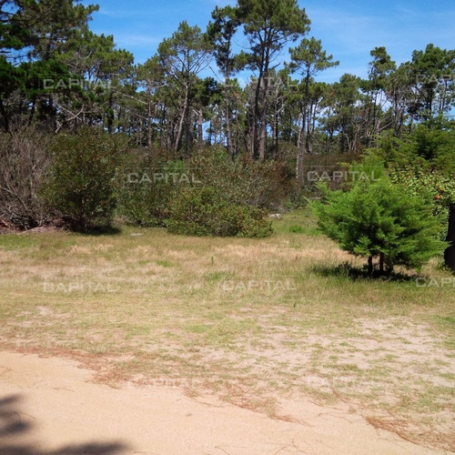 Imagen 5 de 8 de Terreno En Venta, En Balneario El Caracol, Laguna Garzón - Garzón Laguna Garzón
