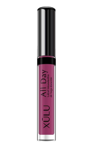 Imagen 5 de 7 de Kit De Labios All Day Xulu Cosmeticos