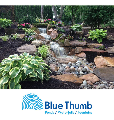Blue Thumb Pond Build'n Espuma 12 Onza ( 2)