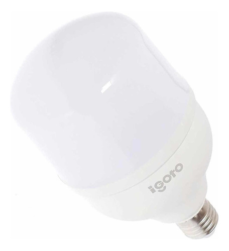 Foco Led Alta Potencia T100 30w 6500k (luz Blanca) Igoto