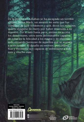 Harry Potter Y El Prisionero De Azkaban (libro Original)