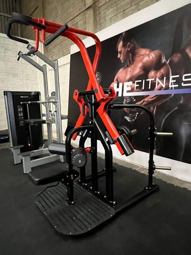 Reverse Seated Pull-down, Equipo Profesional Peso Libre