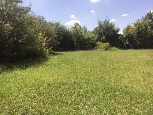 Imagen 2 de 8 de Excelente Predio En Venta, Carlos Keen, Oportunidad!!