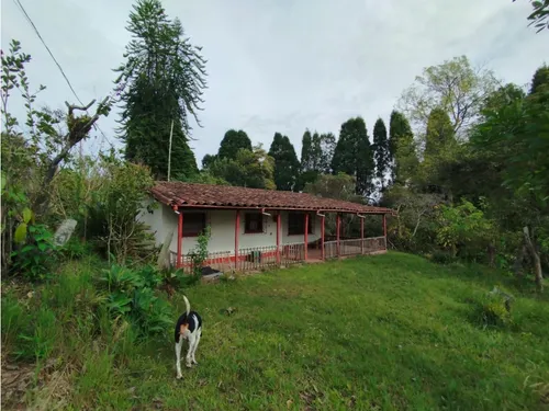 Venta De Lote En Guarne, Vereda Hojas Anchas