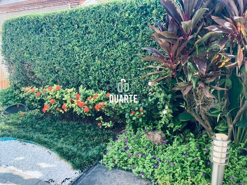 Imagem 25 de 26 de Apartamento - Ap03550 - 69206015