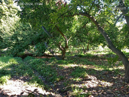 Parcela En Venta En San Felipe