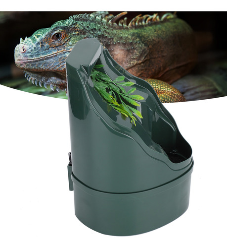 Lagarto Bebedor Simulación Planta Cascada Reptil Paisaje