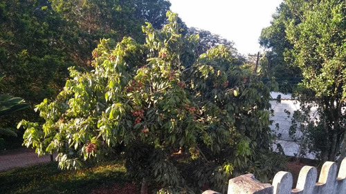 Chácara Na Cidade De Suzano