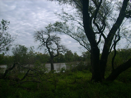 Imagen 10 de 10 de Isla La Invernada, Lo Mejor De Paraná Viejo. Financiación/permuta.