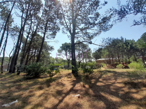 Imagen 4 de 16 de Venta De Lote En Barra Verde, La Barra, Uruguay - La Barra Barra Verde