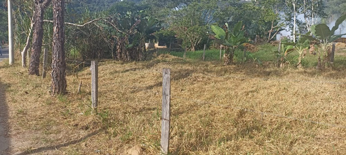 Chacara No Bairro Taquari - Sp 50 Km 23,5 Área De 540m² Sendo 13 De Largura E 42 De Comprimento.