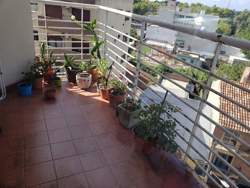 Imagen 12 de 14 de Departamento En Venta En Nuevo Centro