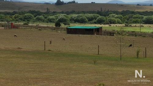 Chacra En Venta Por Ruta 9 , Maldonado