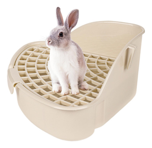Triângulo Rabbit Sandbox Com Grid