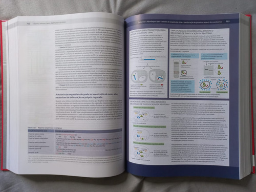 Biologia Molecular Da Celula - C/ Cd-rom 5ed. *, De Bruce Alberts., Vol. 1. Editorial Jones & Bartlett, Capa Dura, Edição 5a Edição (Usado)