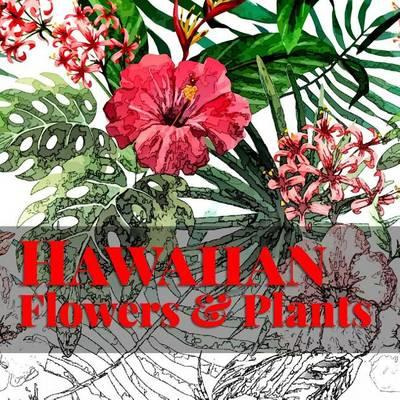 Libro Hawaiian Flowers & Plants - Frankie Bow