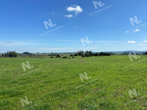 Imagen 5 de 15 de Venta Campo En Maldonado - Maldonado