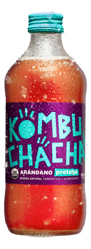 Kombuchacha Arandano 500ml