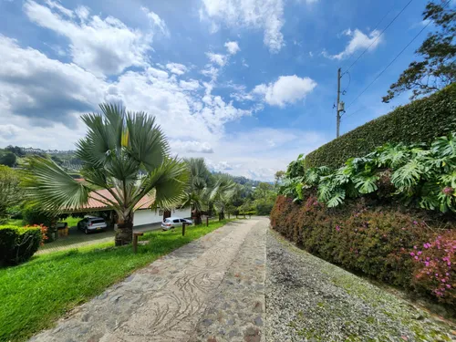 Finca En Venta En Pontezuela. Cod V11901