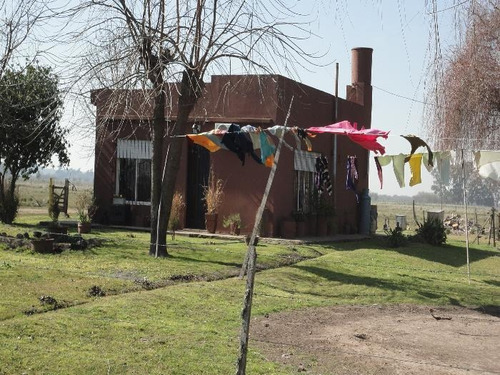Imagen 20 de 21 de Terreno - La Plata