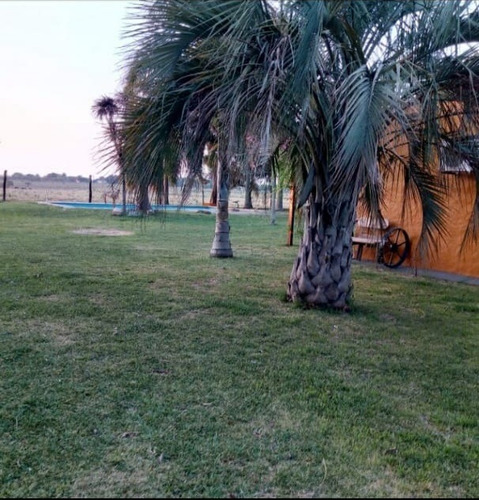 Imagen 6 de 14 de Campo En Gobernador Sola, Entre Rios.