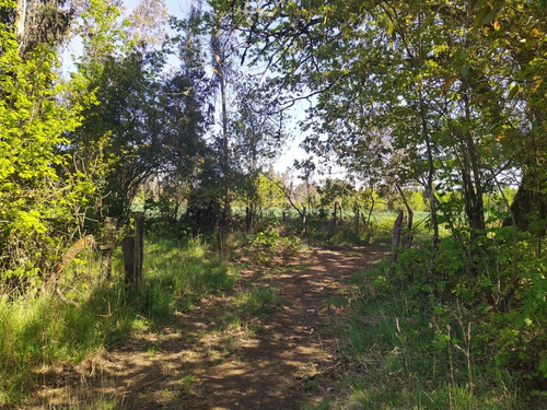 Hermosa Parcela En Venta En Gorbea