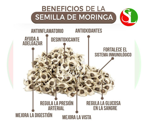 Semilla De Moringa 400 Pz. Orgánica, 2 Pak