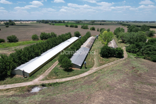 Terreno Campo En Venta - General Rodriguez - G.b.a. Zona Oeste