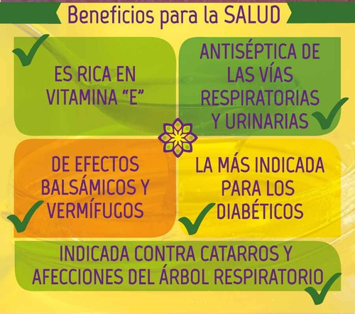 Miel Cremosa Las Quinas Orgánica Pura 500g Sin Tacc