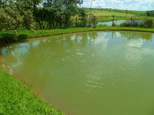 Imagem 16 de 29 de Sítio Com 2 Dormitórios À Venda, 24200 M² Por R$ 1.100.000,00 - Cardeal - Elias Fausto/sp - Si0004