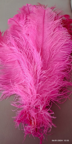 Plumas Amazonas Rosadas 50/60 Cm X 20/25 Cm 