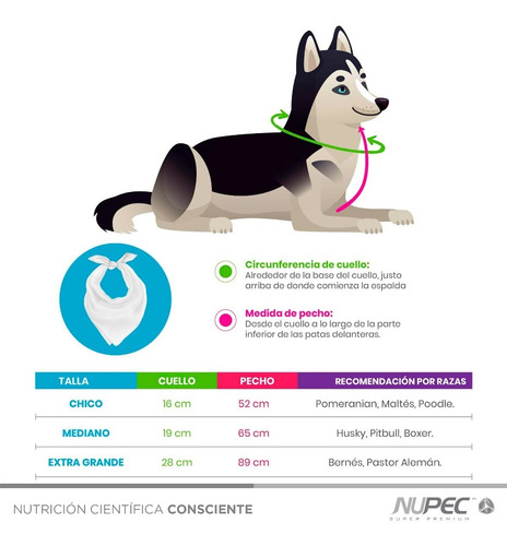 Imagen 4 de 4 de Ropa Para Perro Paliacate Ameba Azul Extra Grande (xl)
