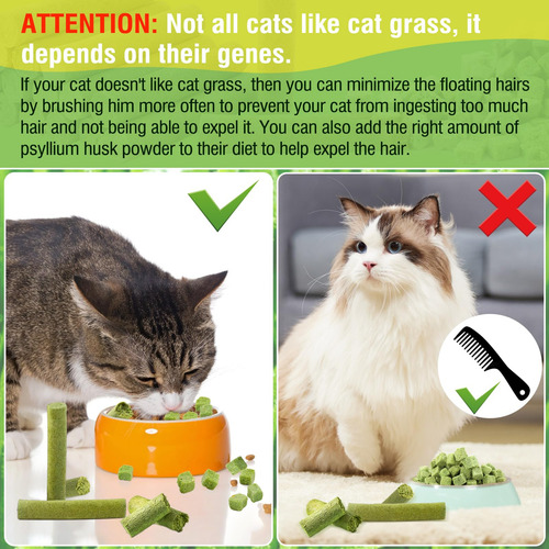 Ruiyue 100g Catnip Juguetes De Hierba Para Gato, Natural