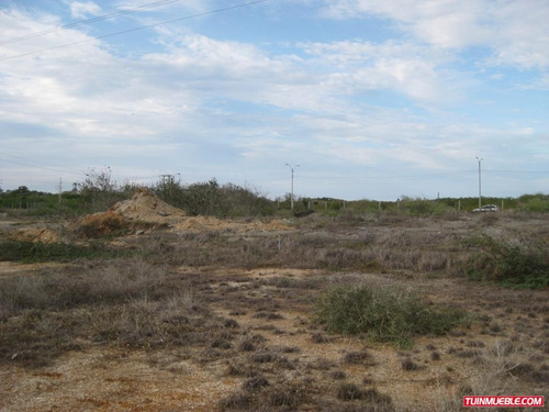 Imagen 2 de 11 de Terrenos En Venta