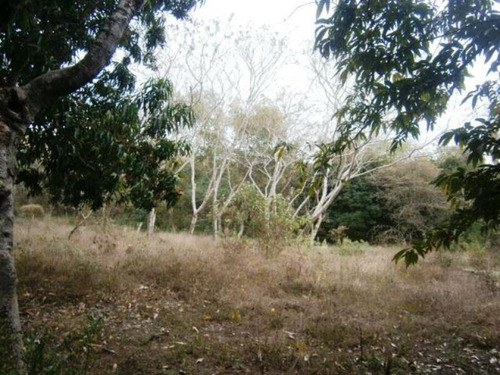 Imagen 5 de 23 de Venta Terreno Xochitepec Morelos Valle Dorado