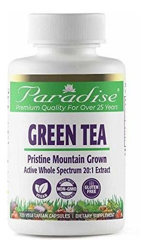 Te Verde Suplem Extracto 20: 1 De Paradise Green Tea - Calid