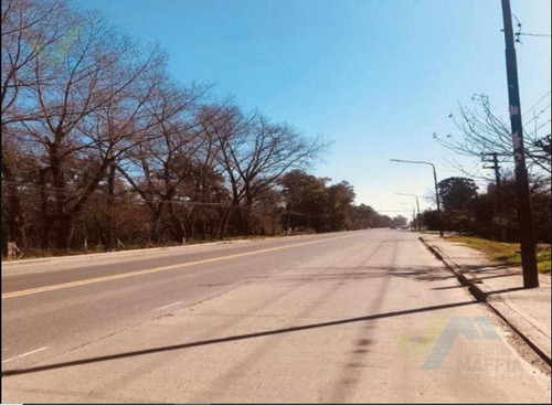 Imagen 5 de 12 de Terreno - Presidente Derqui