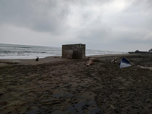Venta Terreno 380 M² Col. Monte Gordo Tecolutla Veracruz.