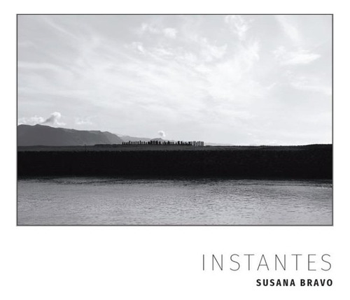 Libro Instantes - Bravo, Susana