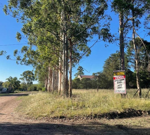 Imagen 3 de 17 de Terreno De 750 M2 Zona Termas Colón