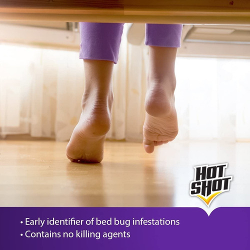 Hot Shot Bed Bug Glue Trap Chinches De Cama Americano