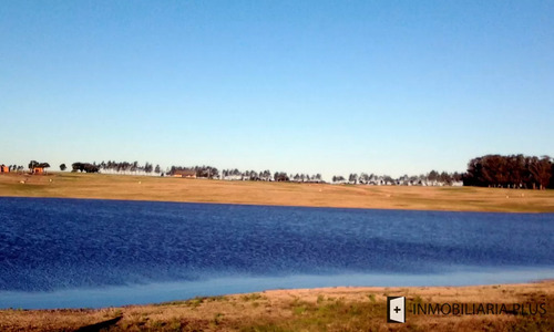 Venta De Terreno Con Financiación En La Laguna De Los Cisnes Punta Del Este C911