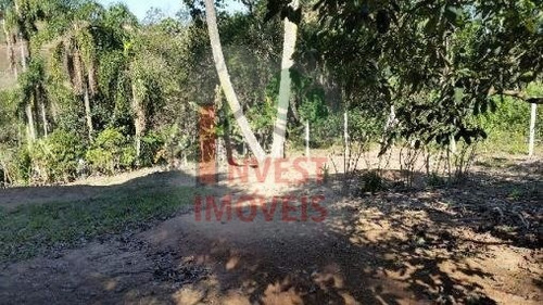 Imagem 3 de 8 de Terreno - Ref: 1946 - V-1946