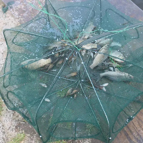 Gaiola De Caranguejo Dobrável, Rede De Caranguejo Com 10 Fur