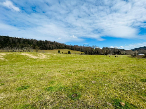Se Vende Proyecto Aprobado Por Sag Panguipulli Los Lagos
