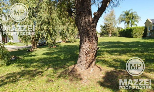 Imagen 2 de 2 de Lote