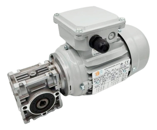 Motoredutor Q25 Com Motor 1/8cv Trifásico Eixo Vazado 11mm