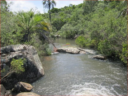 Imagen 9 de 12 de Chacra A La Venta En Maldonado A 49 Km De Punta Del Este, Con Cañadas Y Palmeras