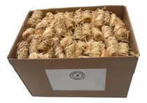 Comprar Encendedores Naturales Para Quemadores De Leña, Fuego, Encen