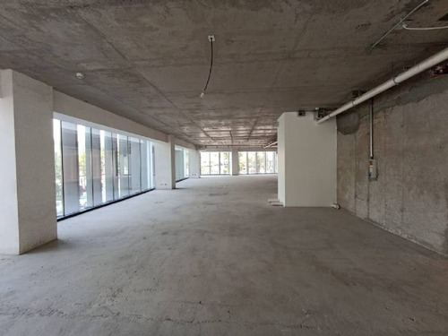 Local Comercial 1° Nivel Edificio Oficinas